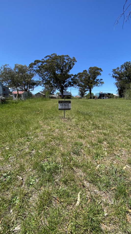 LOTE CAMET NORTE