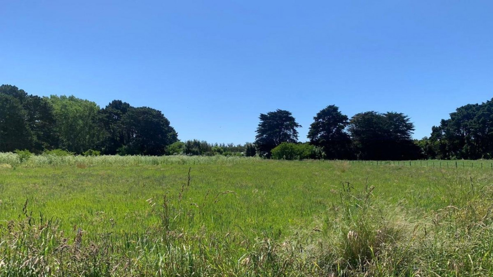 LOTE EN SIERRA DE LOS PADRES