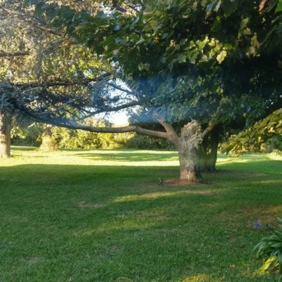 LOTES en bloque + CHALET desarrollado sobre 3 Lotes