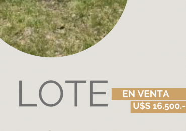 LOTE CAMET NORTE